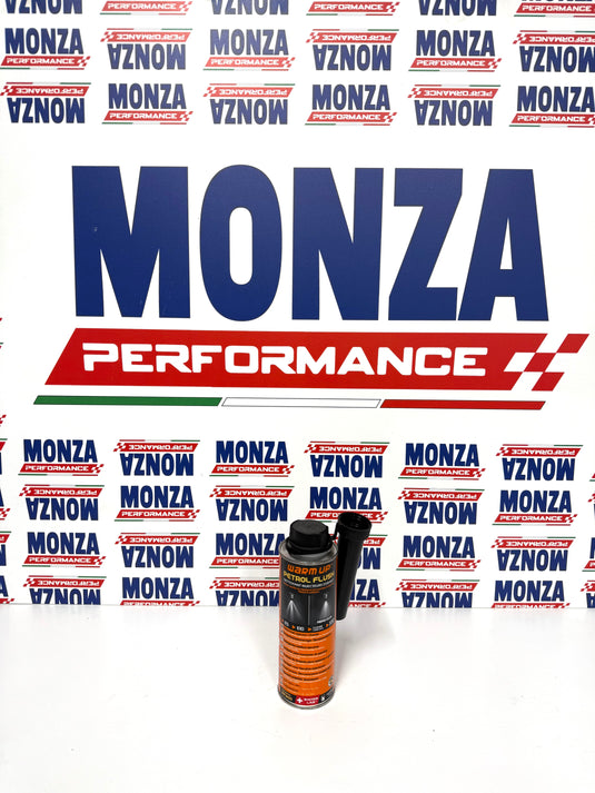 WARM UP Petrol Flush PF300 Pulitore Detergente Sistema di Iniezione Benzina